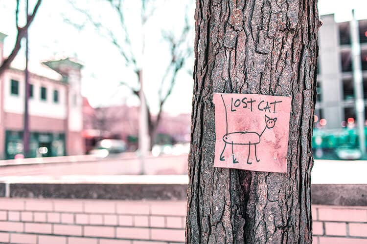Importancia de la identidad visual en el Branding